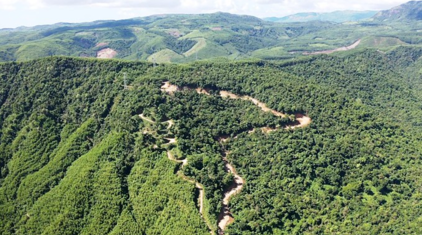  Tập đoàn Đèo Cả báo cáo Thủ tướng việc phá rừng làm cao tốc